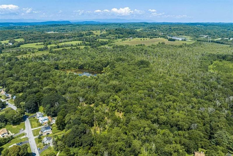 171 BOWER RD, Pleasant Valley, NY 12603 Land For Sale  MLS# HM418922