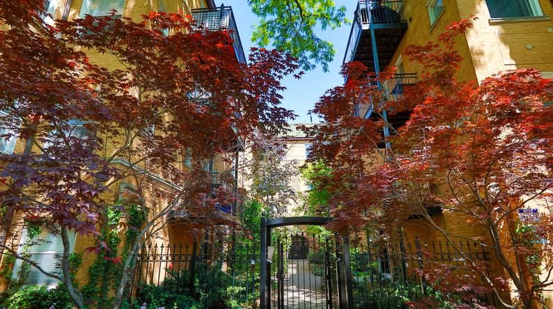 7631 N Greenview Ave #1F, Chicago, IL 60626 - MLS 11971896 for Sale