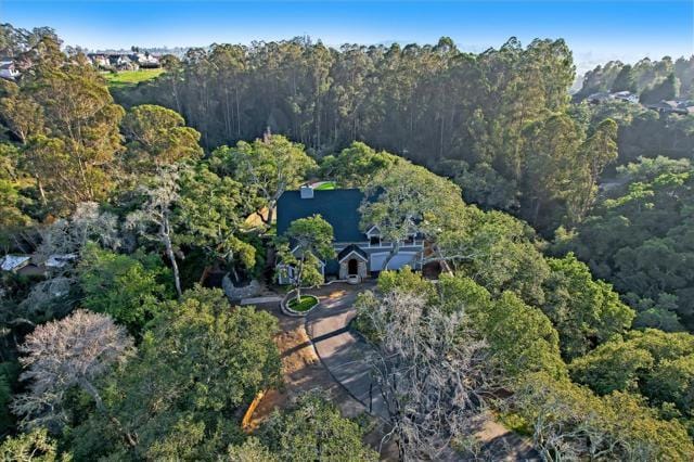 267 Chirco, Santa Cruz CA 95065 for Sale