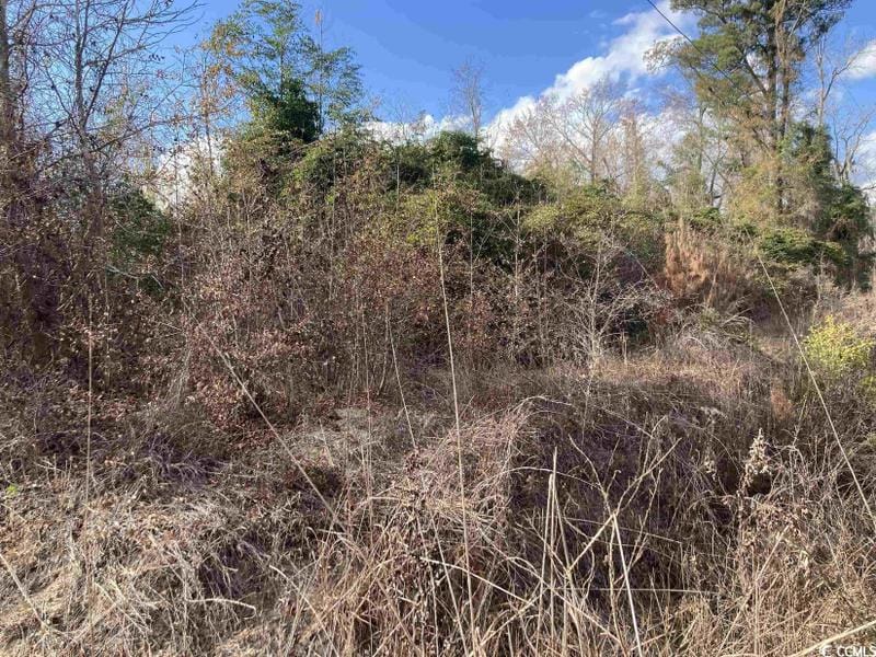 Johnsonville, Florence County, SC Undeveloped Land, Homesites for sale Property ID: 418646689