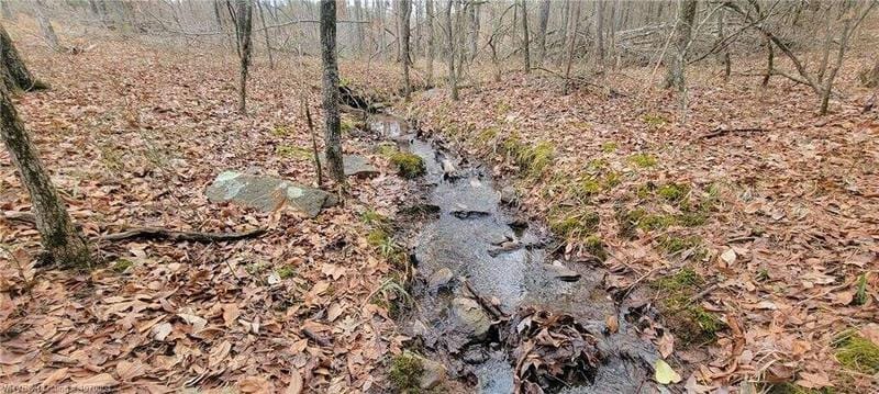 2.47 Acres +/- High Rock RD, Rudy, AR 72952  620716280 for Sale
