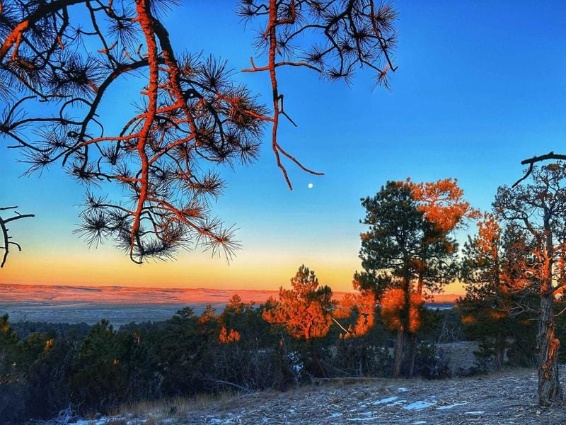 Moorcroft, Crook County, WY Undeveloped Land for sale Property ID: 418885102