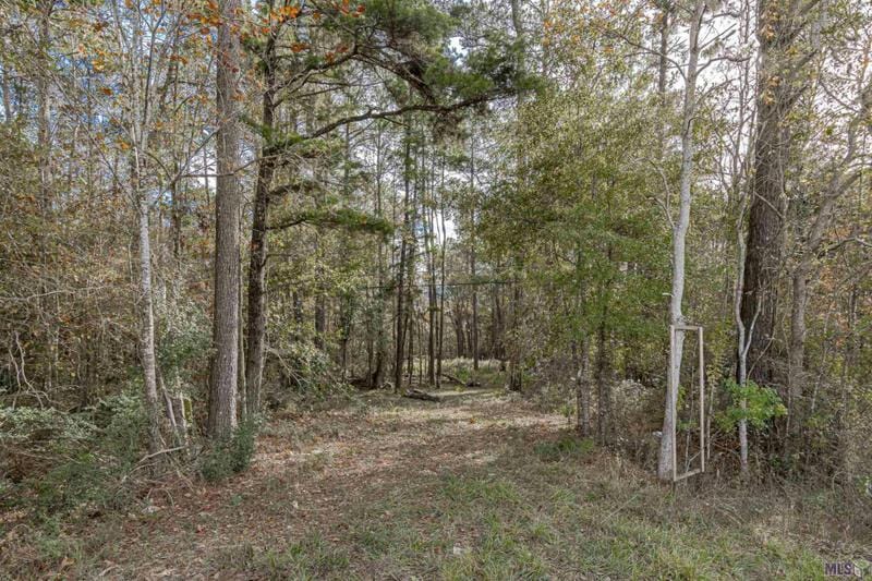 11316 FLORIDA BLVD, Walker, LA 70785 Land For Sale  MLS# 2023020014