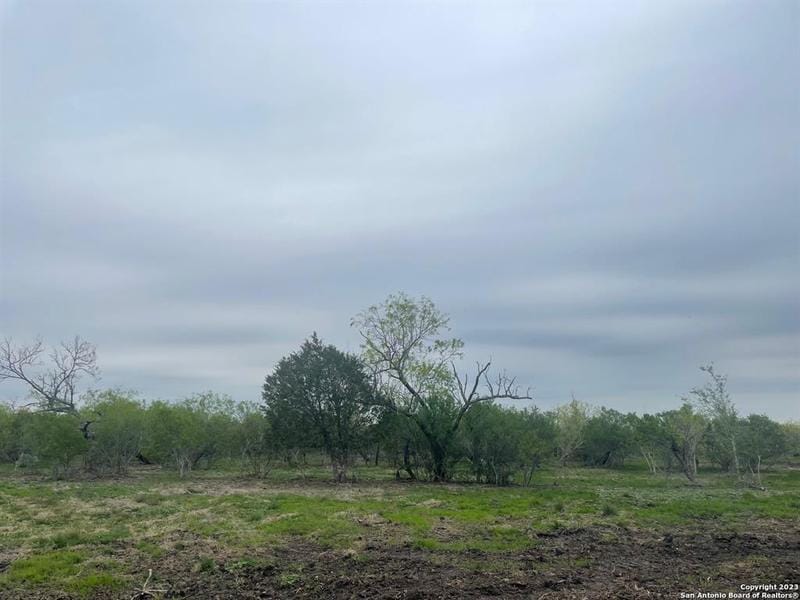 118 WILD PERSIMMON TRAIL, Marion, TX 78124 for Sale