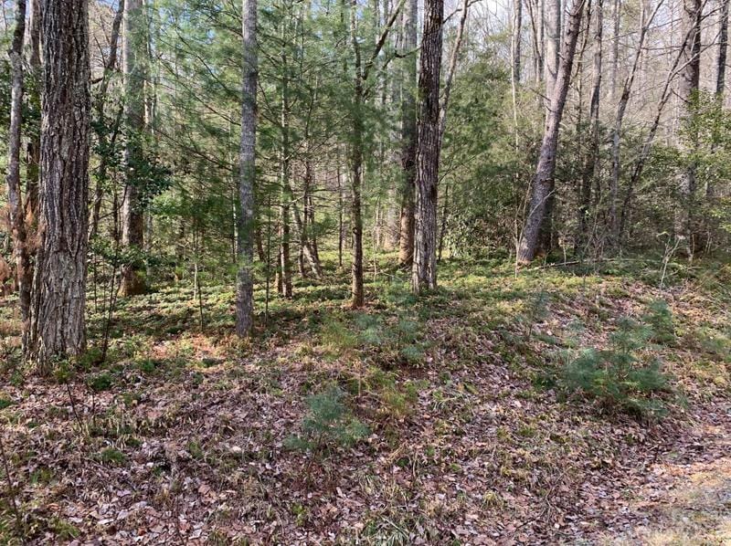 126 Green Hollow Ln, Brevard, NC 28712 - MLS 4069802 for Sale
