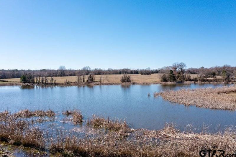 TBD FM 1001, Cr3355, Cr3365, Cookville, TX 75558 for Sale