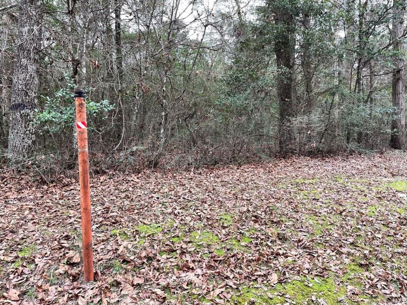 Cleveland, Liberty County, TX Recreational Property, Undeveloped Land, Homesites for sale Property ID: 418627310
