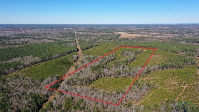 0002 CR 1115, Atlanta, TX 75551 for Sale