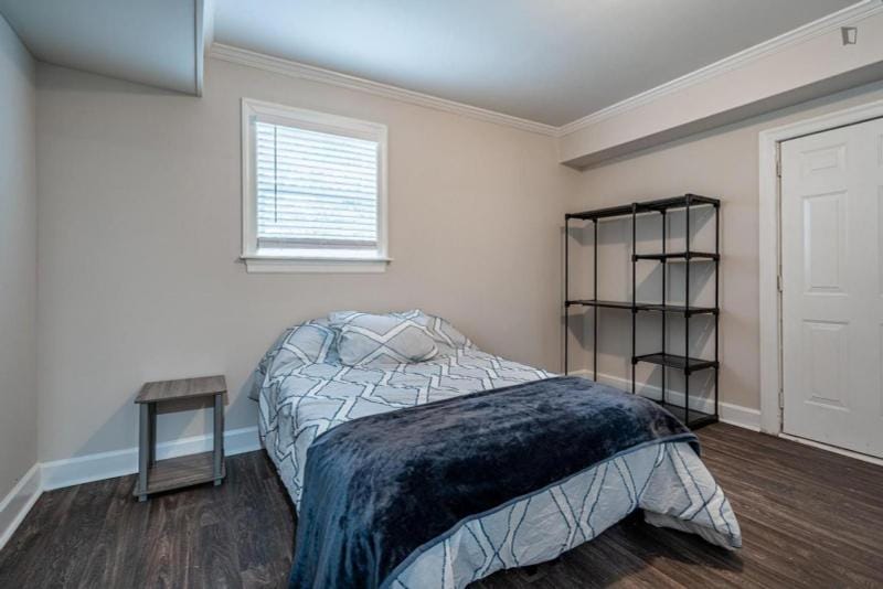 Homely double bedroom in Center Hill for Rent