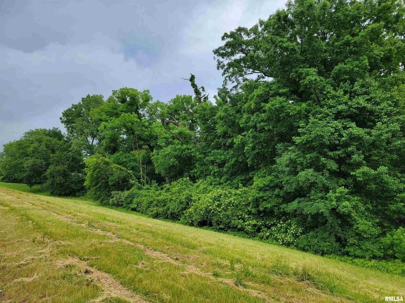 Moline, Rock Island County, IL Undeveloped Land, Homesites for sale Property ID: 418637916