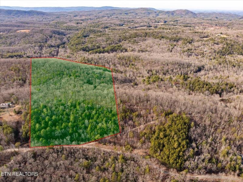 Tellico Plains, Monroe County, TN Undeveloped Land for sale Property ID: 418831659