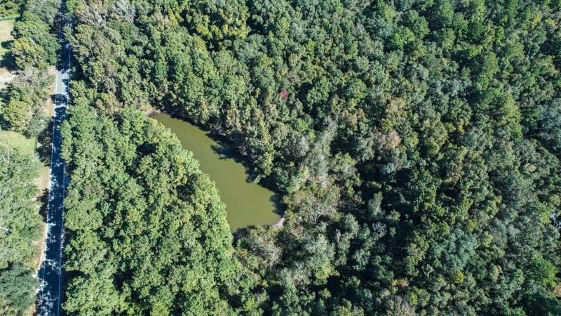 Tallahassee, Leon County, FL Undeveloped Land for sale Property ID: 418761422