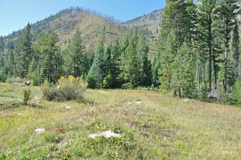 Tbd Johnson Creek Road, Yellow Pine, ID 83677  613975717 for Sale