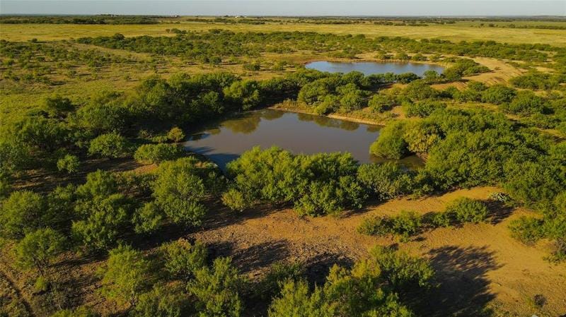 2241 Schlegel Rd, Olney, TX 76374 for Sale