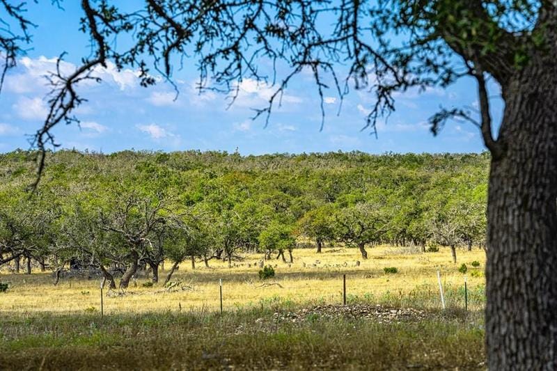 436 Stevens Ranch Road, Unit 8, Harper, TX 78631 for Sale
