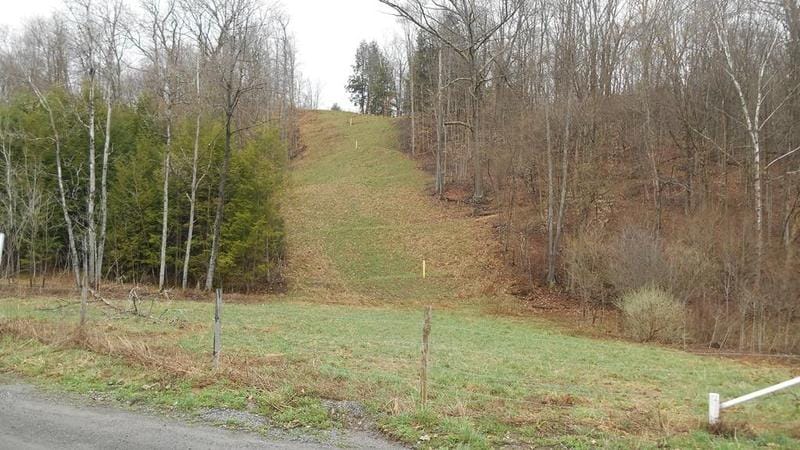 Blossburg, Tioga County, PA Undeveloped Land for sale Property ID: 418859908