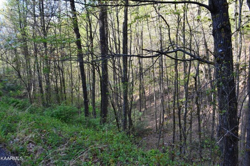 Sevierville, Sevier County, TN Undeveloped Land, Homesites for sale Property ID: 413359153