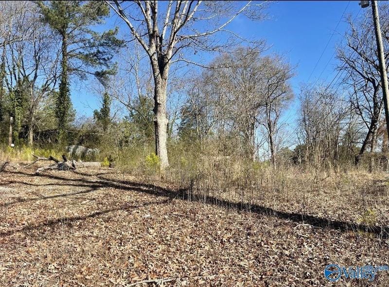 Guntersville, Marshall County, AL Undeveloped Land for sale Property ID: 418915891