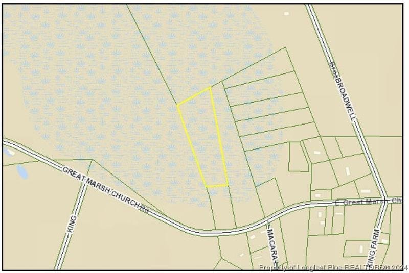 East Great Marsh Church Road, St. Pauls, NC 28384 for Sale