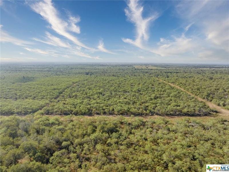 Address not Available, Smiley, TX 78159 for Sale