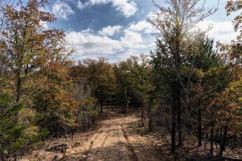 381 Ranchview Ct, Bowie, TX 76230 for Sale