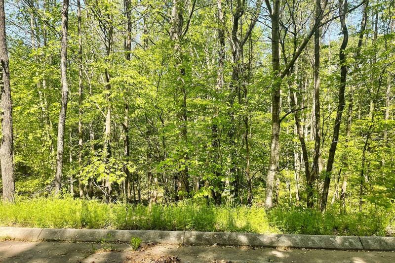Easley, Pickens County, SC Undeveloped Land, Homesites for sale Property ID: 418775879