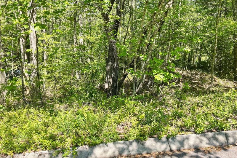 Easley, Pickens County, SC Undeveloped Land, Homesites for sale Property ID: 418775881