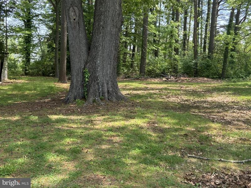 Holly Street, Piney Point, MD 20674 for Sale