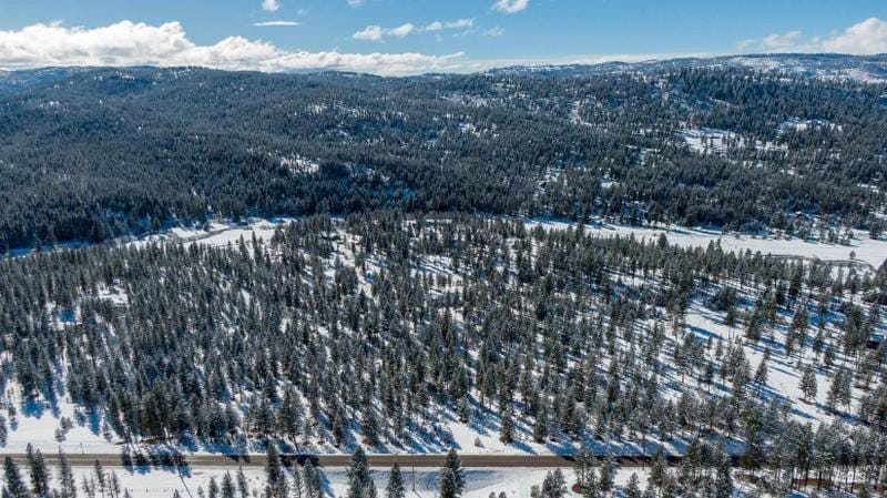 New Meadows, Adams County, ID Undeveloped Land for sale Property ID: 418830073