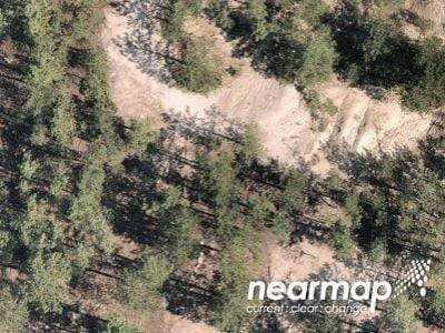 Leprechaun Ln for Sale