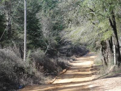 Robert Walker Rd for Sale