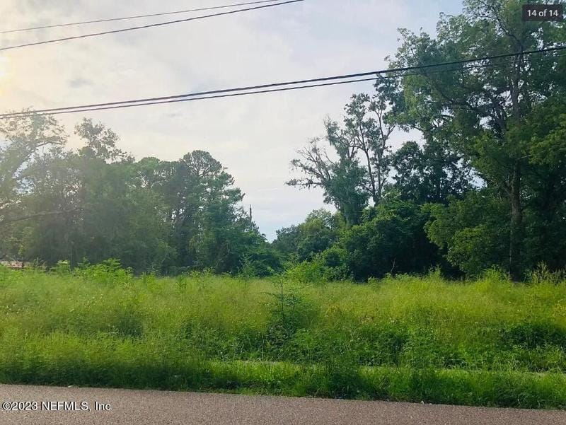 Jacksonville, Duval County, FL Undeveloped Land, Homesites for sale Property ID: 418569540