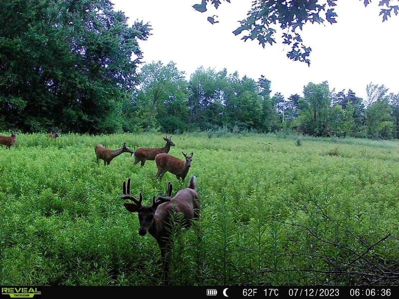 Adrian, Lenawee County, MI Undeveloped Land for sale Property ID: 418901488