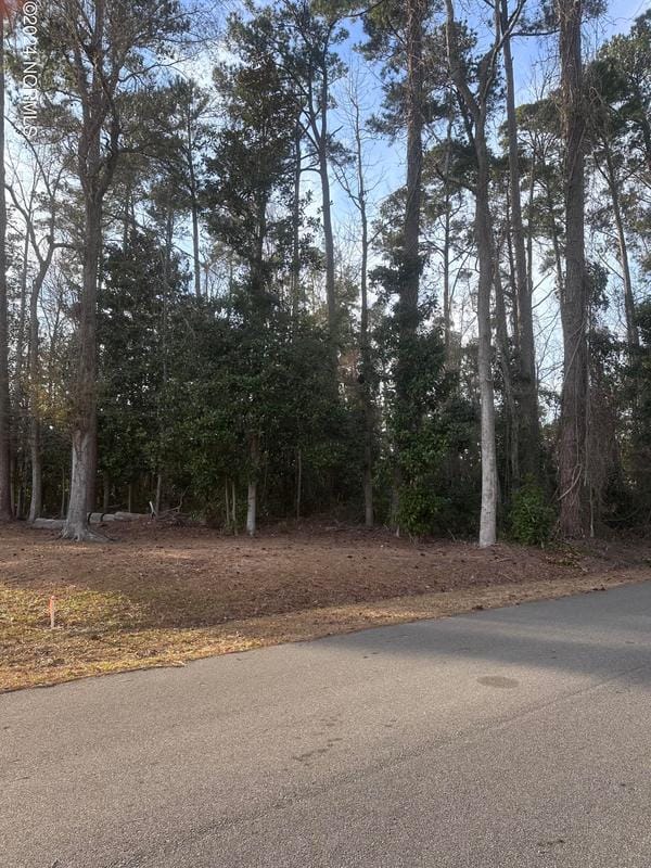 0 North Lloyd North Street, Burgaw, NC 28425 for Sale