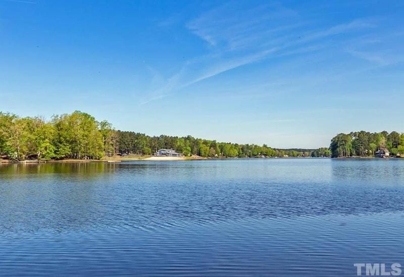 172 Rawhide Dr, Louisburg, NC 27549 - MLS 2528254 for Sale