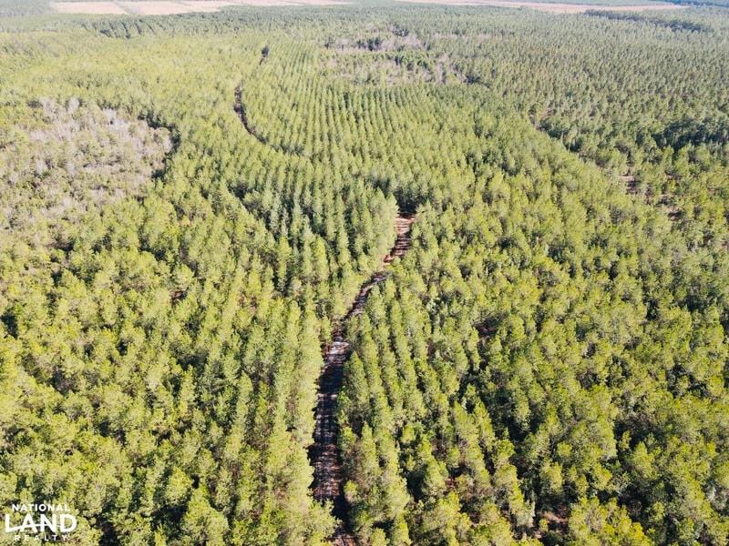 Harrells, Pender County, NC Recreational Property, Timberland Property, Hunting Property for sale Property ID: 418913645