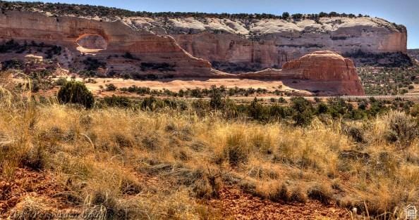 333 S Joe Wilson Dr, Moab, UT 84532 - MLS 1974726 for Sale