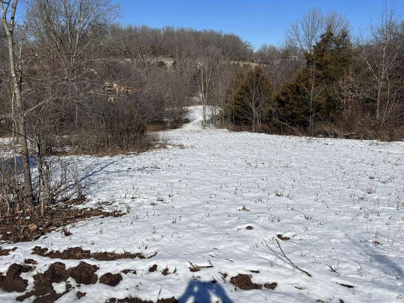 4b2 Gideon Cave Rd, Billings, MO 65610  624648435 for Sale
