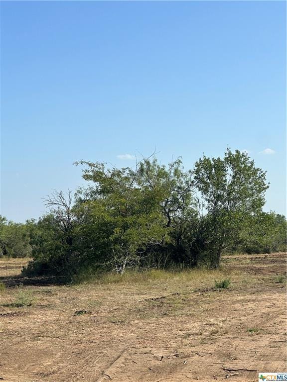 5894 Fm 1107 Unit B (tract 1), Stockdale, TX 78160 for Sale
