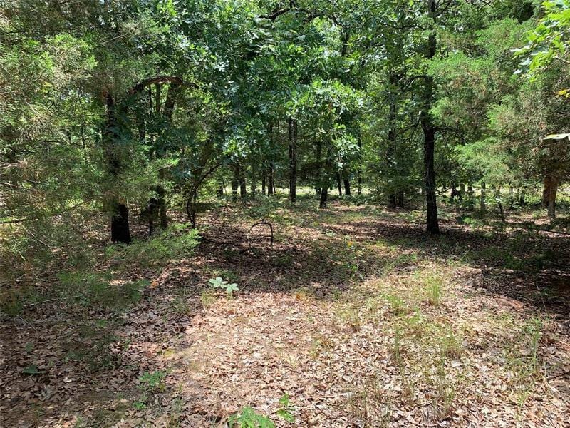 TBD Co. Rd. 1503, Athens, TX 75751 for Sale
