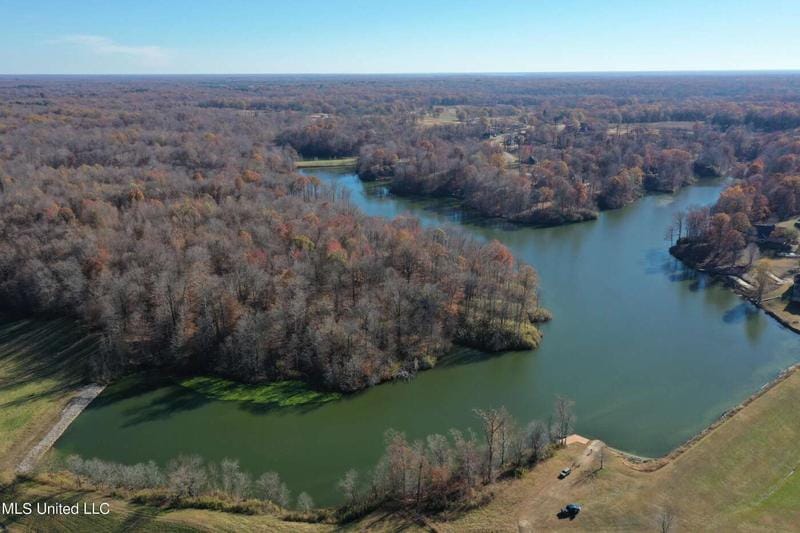 10162 Green River Road, Lake Cormorant, MS 38641  620908411 for Sale
