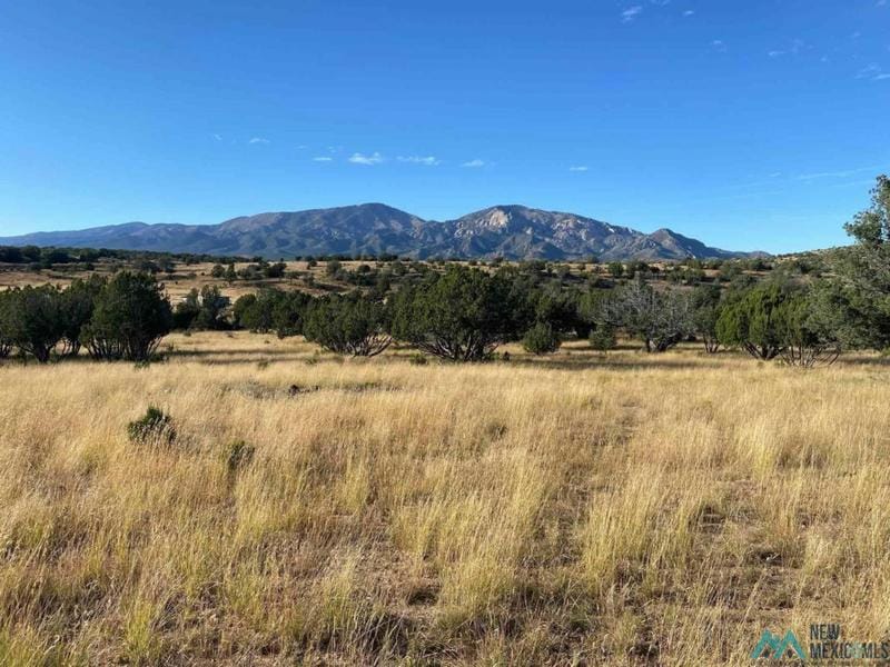 1060 ARABELA RD, Arabella, NM 88351 Farm For Sale  MLS# 20235110