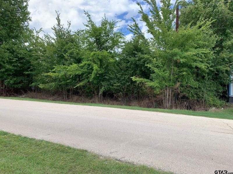TBD Mary Martin Dr, Flint, TX 75762 for Sale