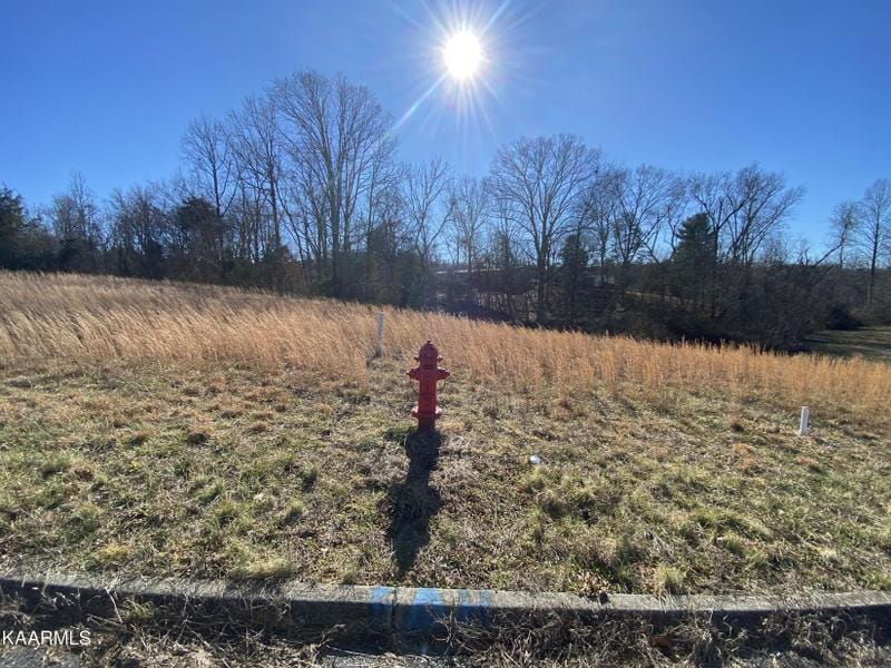 Seymour, Sevier County, TN Undeveloped Land, Homesites for sale Property ID: 418899497