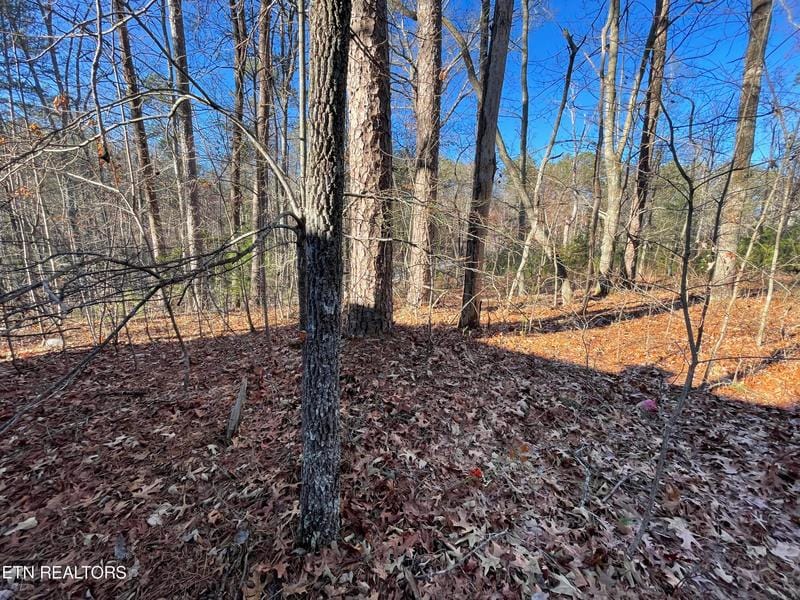 Lot 27 Tall Pine Circle, Tellico Plains, TN 37385 for Sale