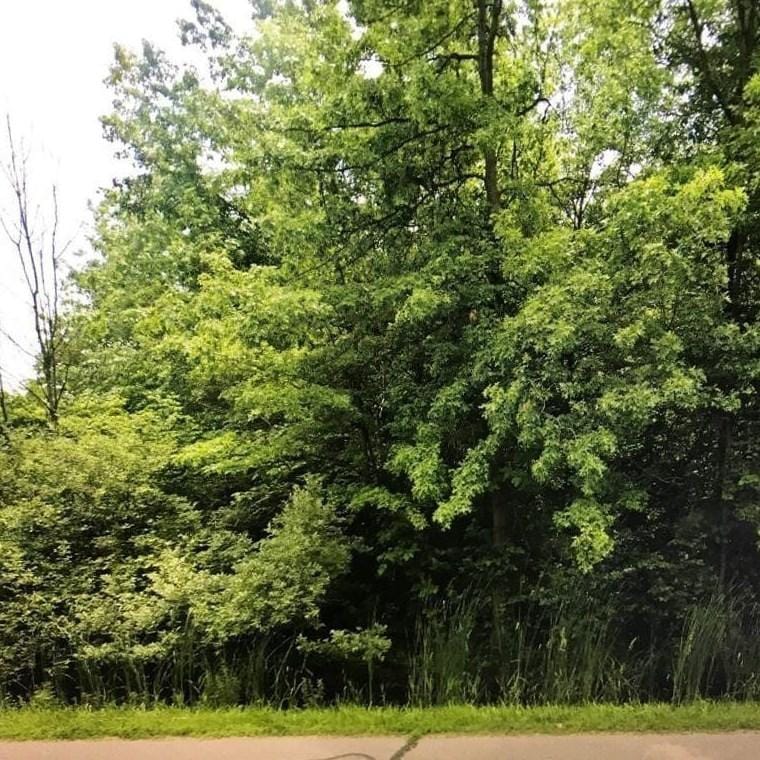 0000 Willow Rd, Belleville, MI 48111 - MLS 23146273 for Sale