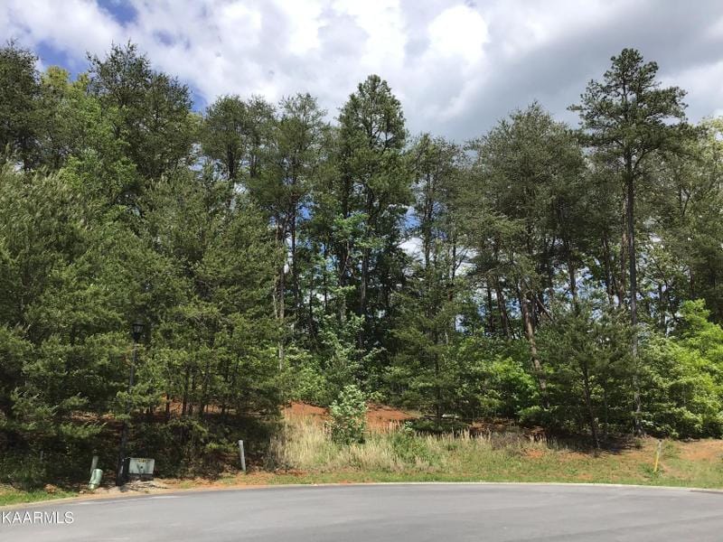 Sevierville, Sevier County, TN Undeveloped Land, Homesites for sale Property ID: 418899442