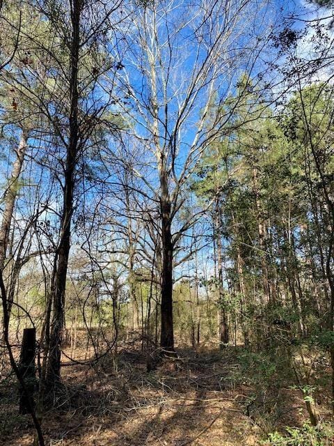 Beckville, Panola County, TX Recreational Property, Timberland Property, Hunting Property for sale Property ID: 418854625