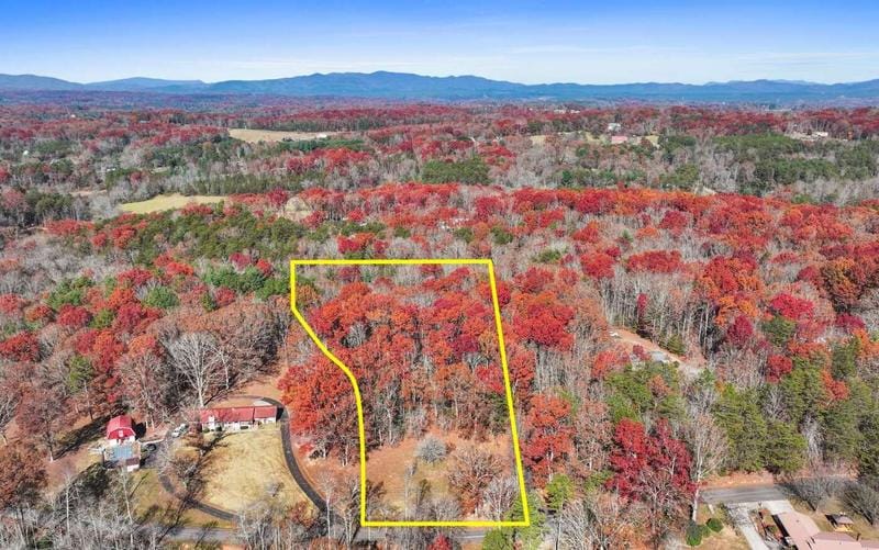 10 Ac Nicholson Road, Blue Ridge, GA 30513  612358501 for Sale
