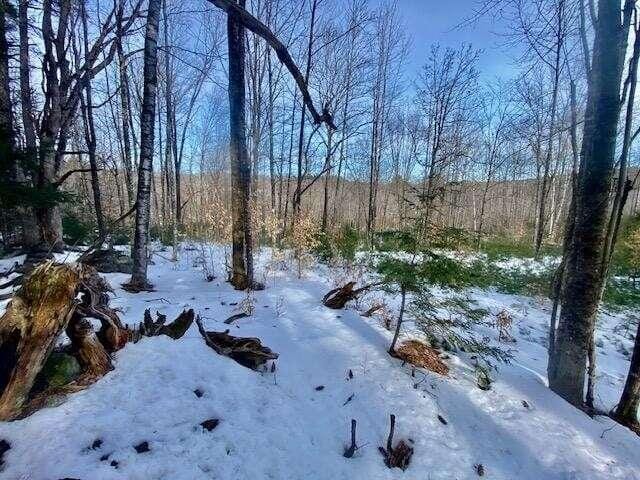 R7-45 Pendexter Road, Parsonsfield, ME 04048  625369097 for Sale